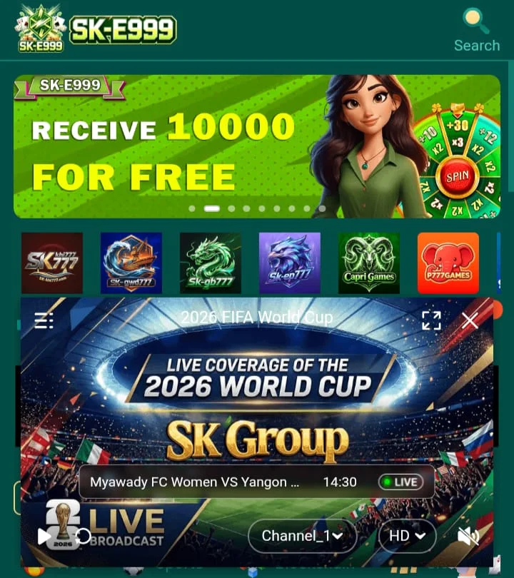 SK E999 Game