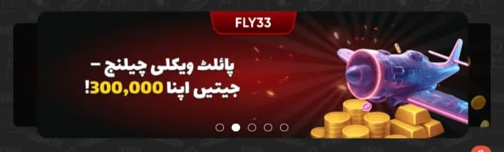 Fly33 Game